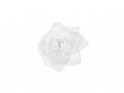 Růže na přilepení bílé