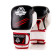 Boxerské rukavice DBX BUSHIDO DBD-B-2 v3 14 oz 0