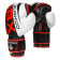Boxerské rukavice DBX BUSHIDO B-2v7 10 oz 0