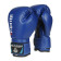 Boxerské rukavice DBX BUSHIDO ARB-407v4 6 oz. 0