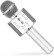 Karaoke mikrofon Eljet Globe Silver 0