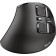23731 Voxx Vertical Wireless Mouse TRUST 0