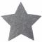 Glitrové stříbrné hvězdy 2 ks, 15 cm 0